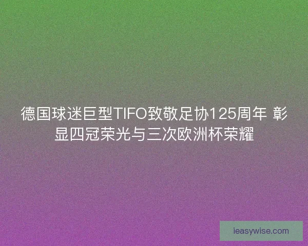 德国球迷巨型TIFO致敬足协125周年 彰显四冠荣光与三次欧洲杯荣耀