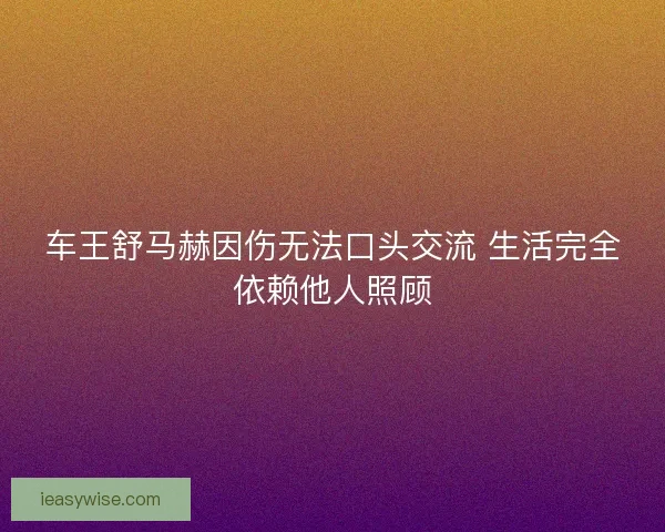 车王舒马赫因伤无法口头交流 生活完全依赖他人照顾